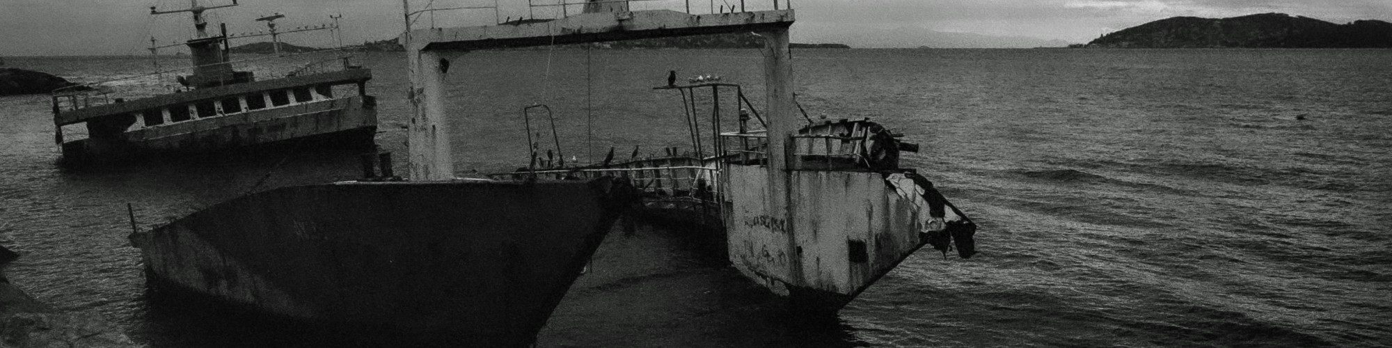 pexels-berobscura-1679175123-30037368