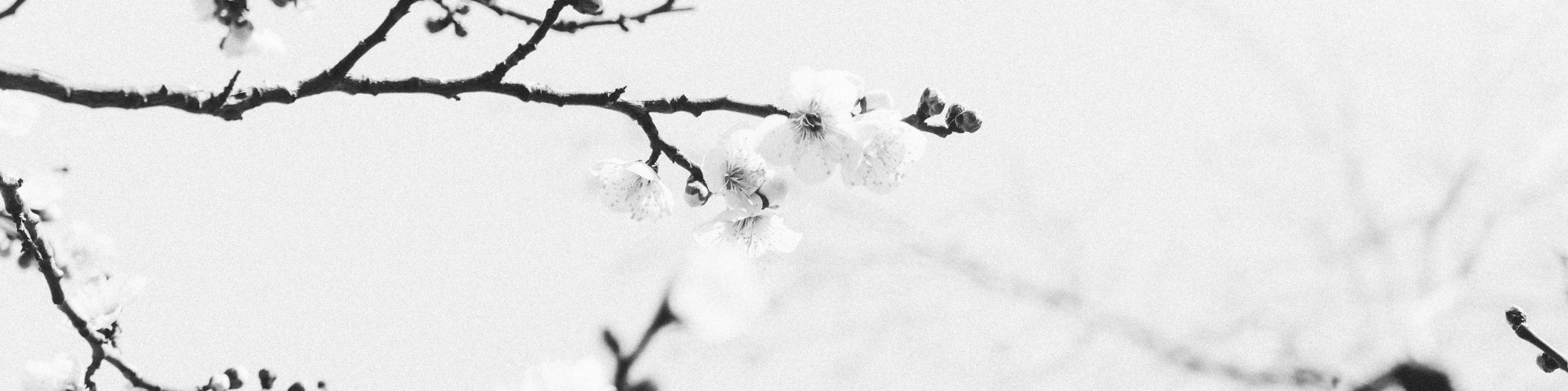 pexels-nana-v-424998828-15634695