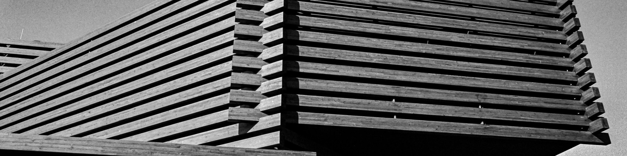 pexels-berobscura-1679175123-28376062