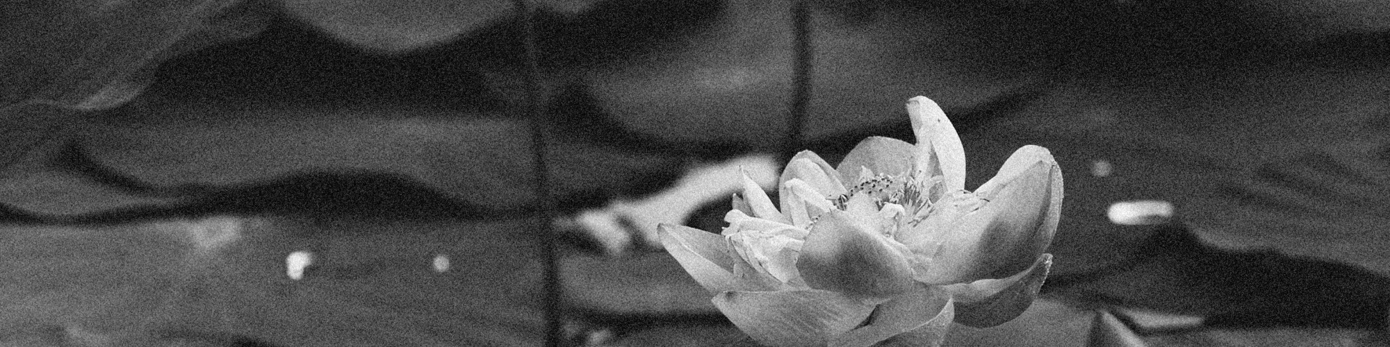 pexels-alexeydemidov-10066424