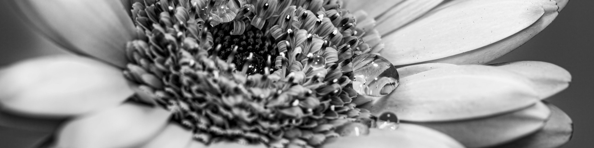 pexels-nick-anderson-575423262-19927966