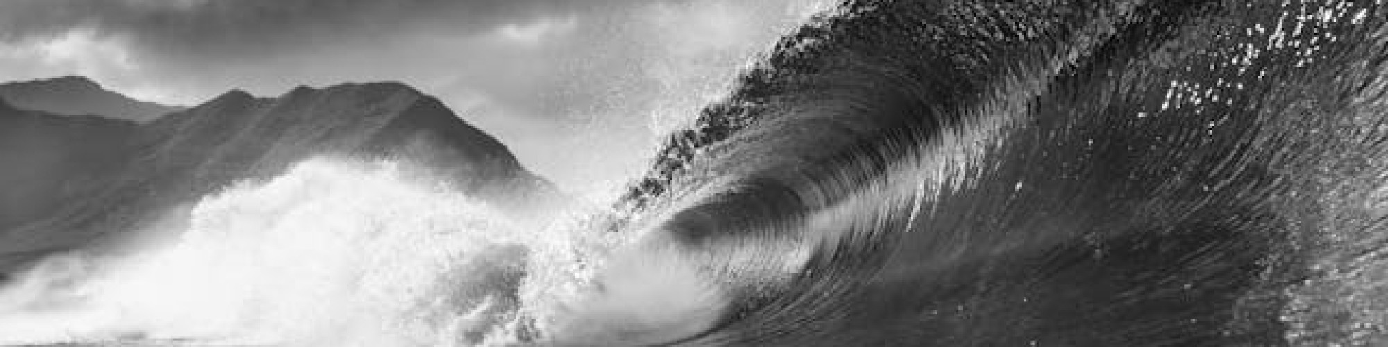 pexels-kammeran-gonzalez-keola-3137381-5441748