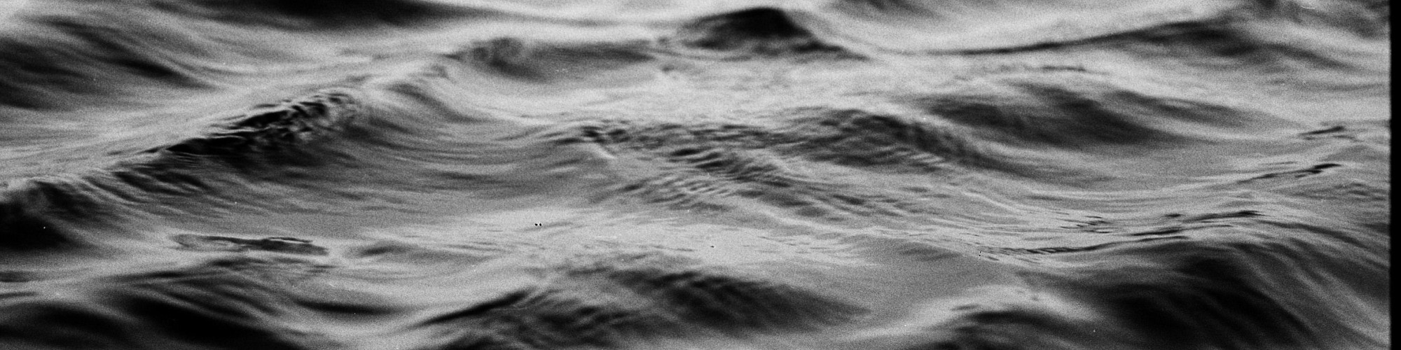 pexels-daniel-maforte-3709229-5544157