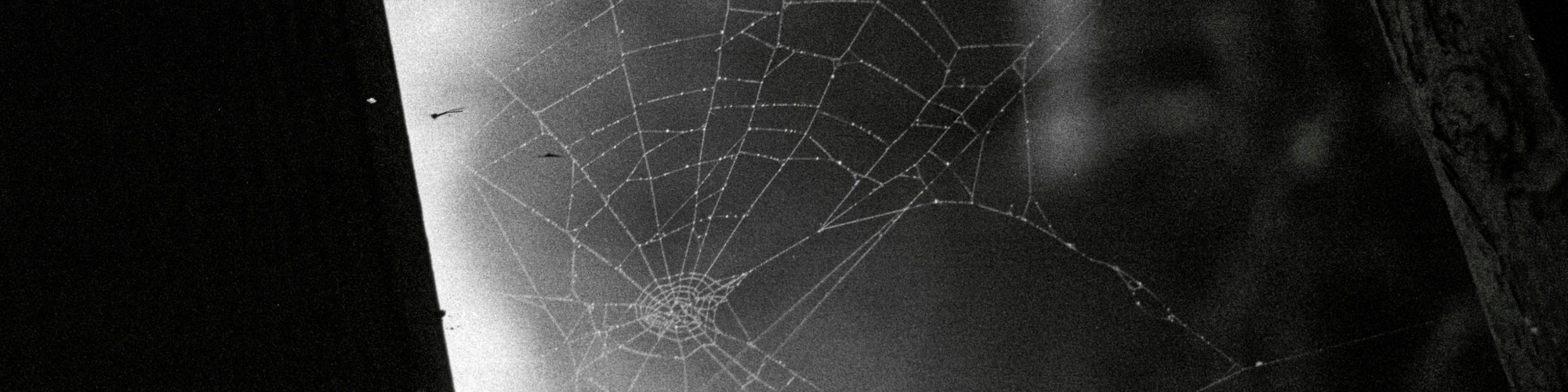 pexels-berobscura-1679175123-30100369