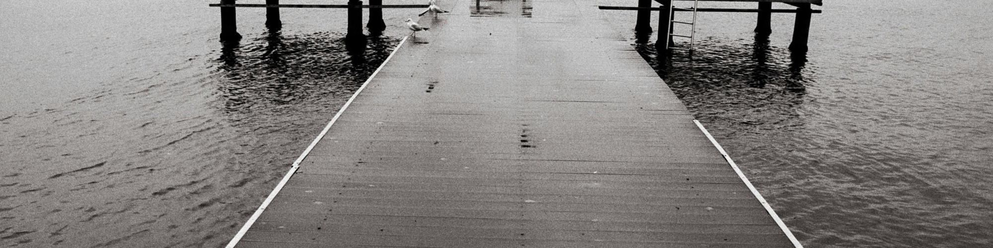 pexels-berobscura-1679175123-30650047