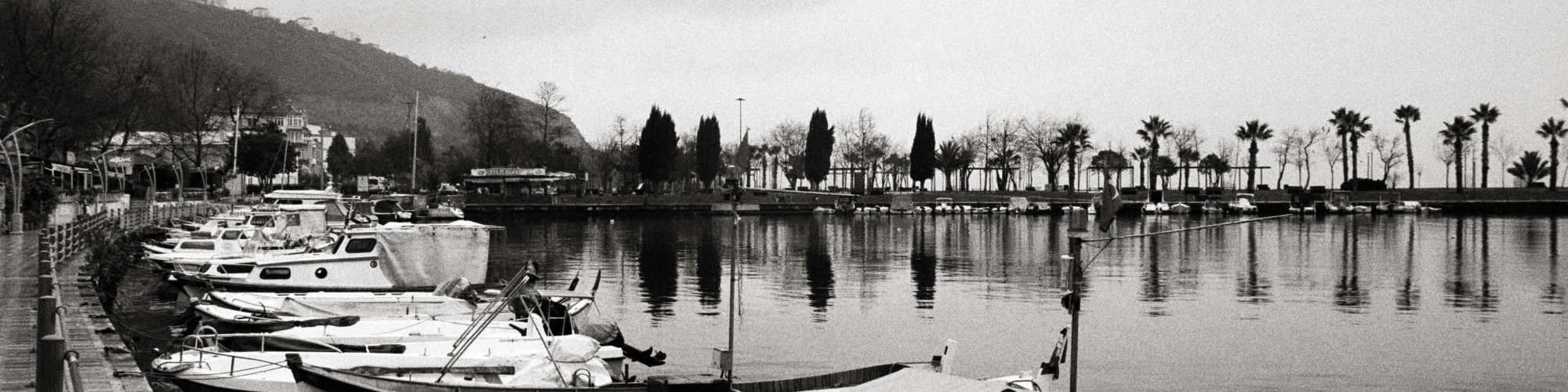 pexels-berobscura-1679175123-30650045