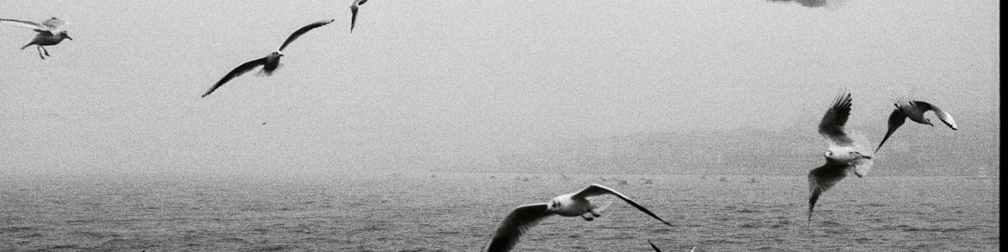 pexels-berobscura-1679175123-31440011