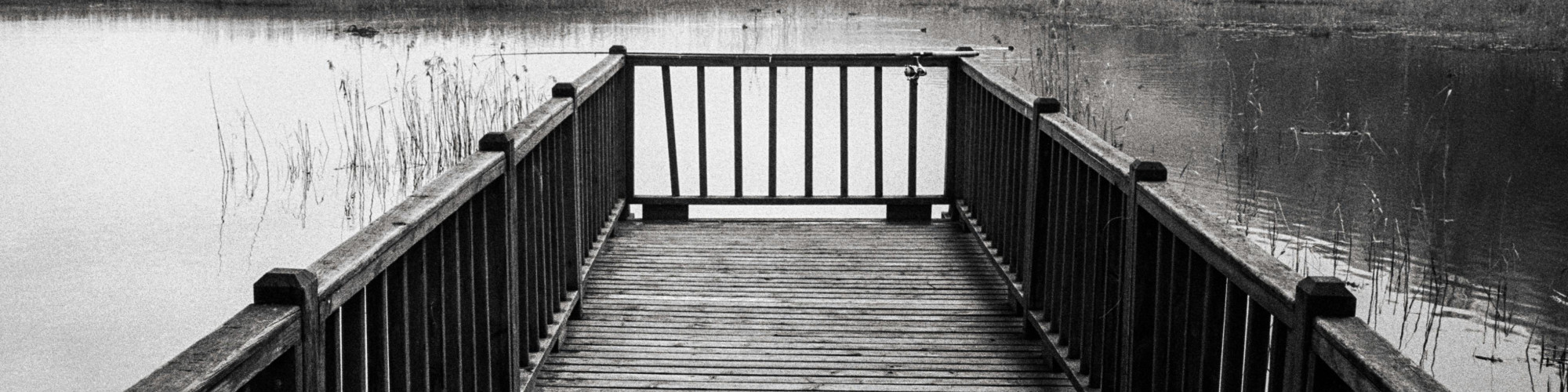 pexels-berobscura-1679175123-30650060